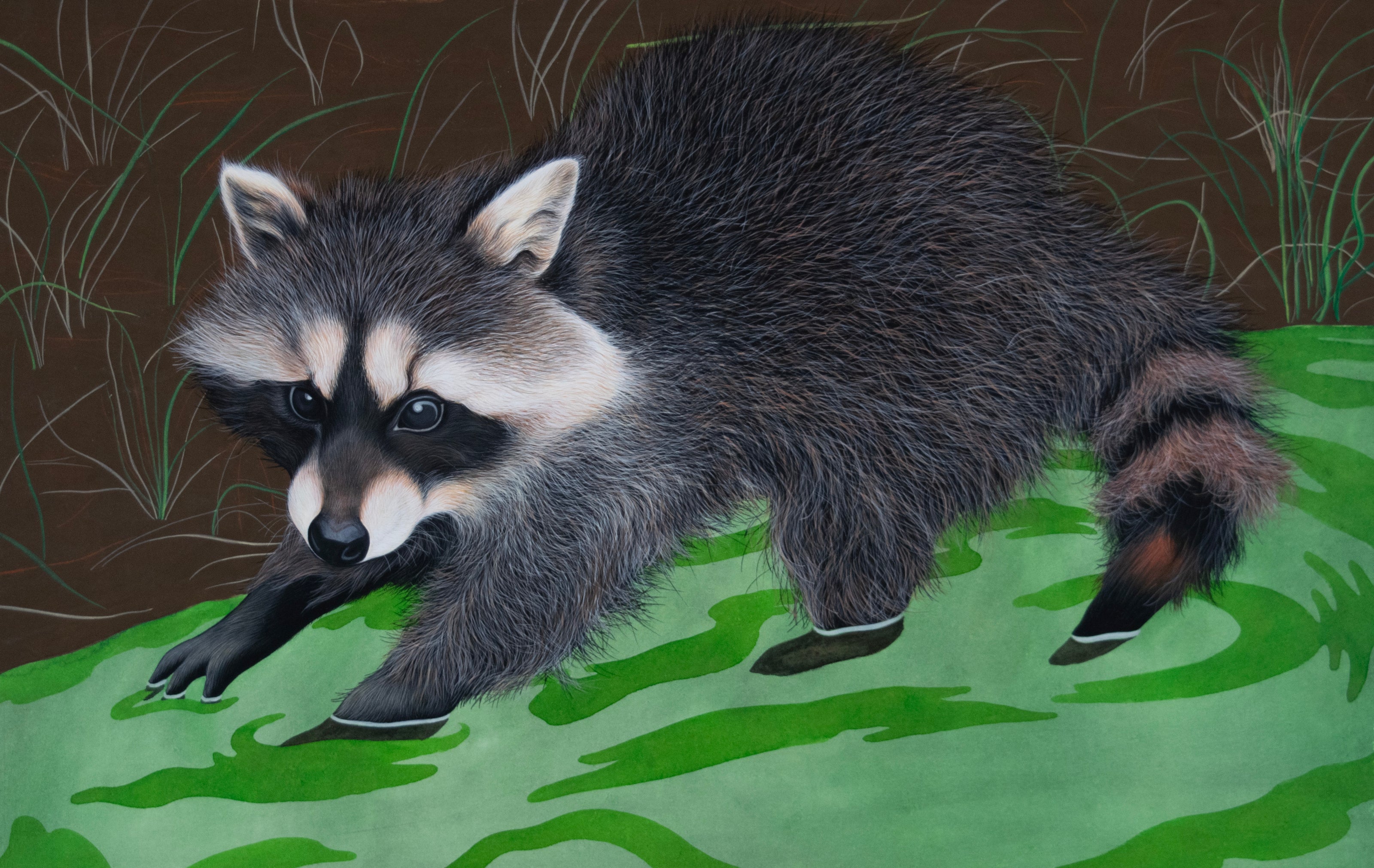 Illustration from Around the Pond_ Who's Been Here_ (1).jpg